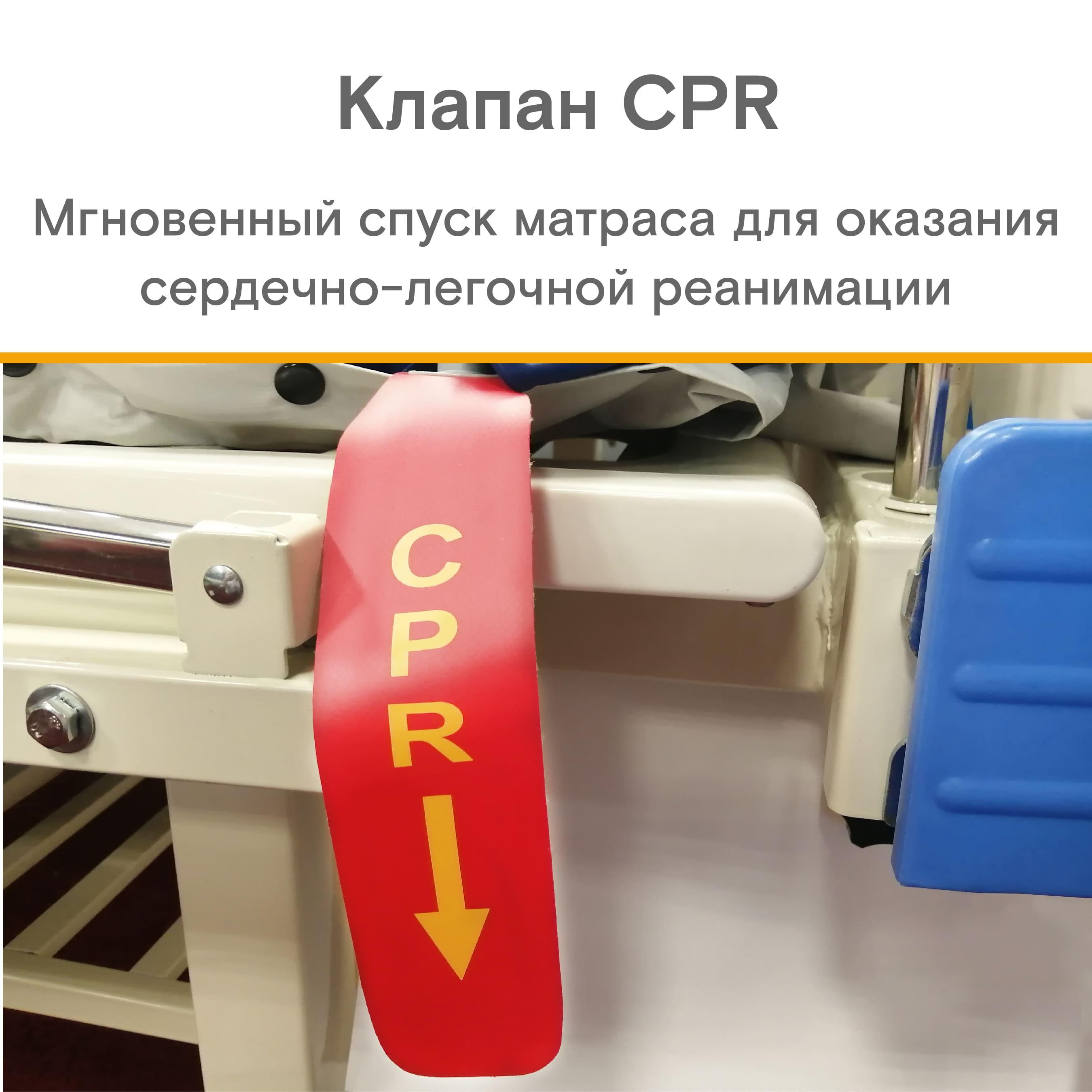 Описание изображения